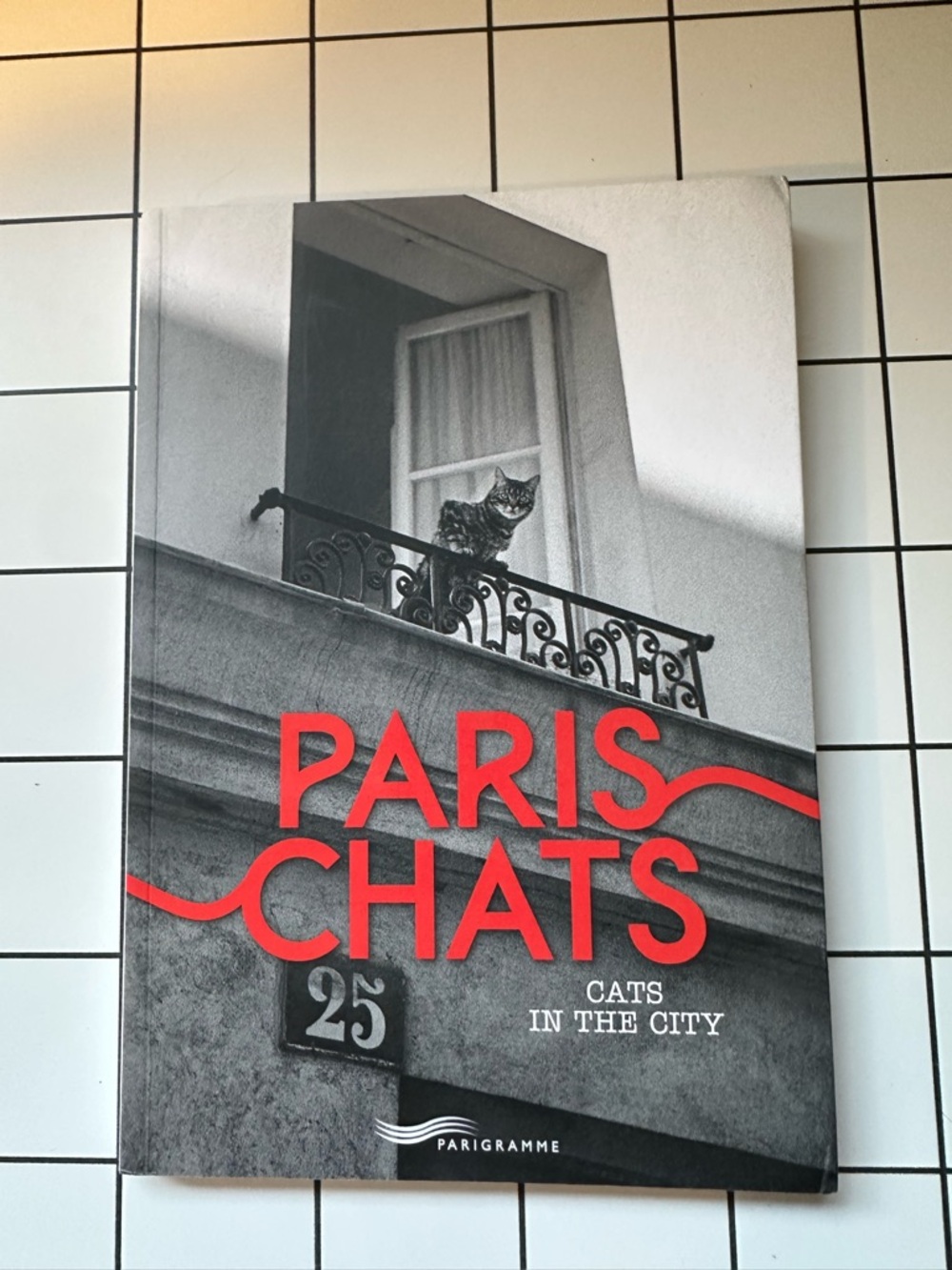 Paris Chats Cats in the City B&W Photo Book. Coffee table. French & English